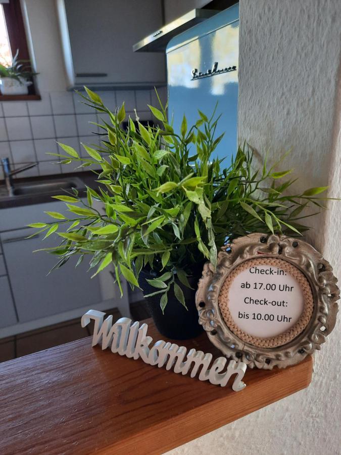 Schoene Einzimmer Wohnung Zwischen Bodensee Und Allgaeu Neukirch (Tubingen) Exterior foto